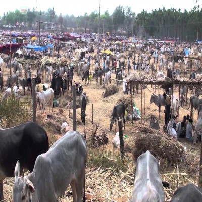 Kundri Mela Place to visit